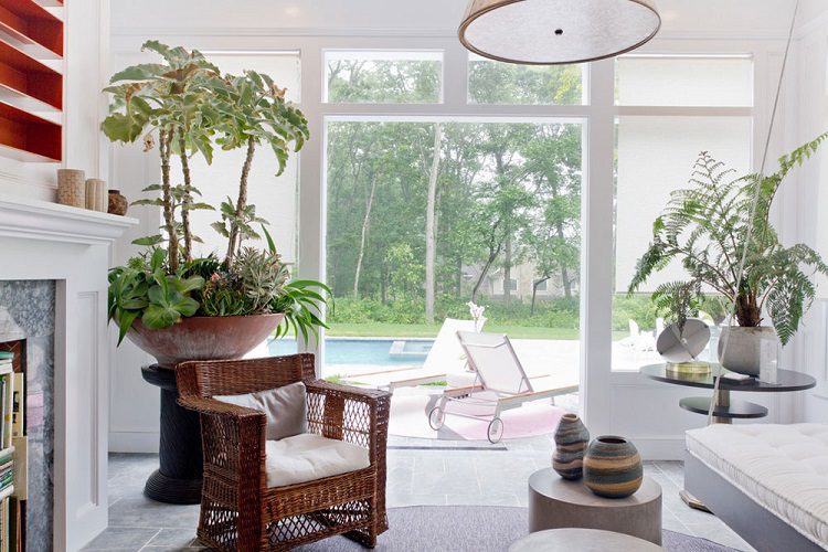Jenis tanaman indoor pembersih udara di rumah, Sumber: impressiveinteriordesign.com